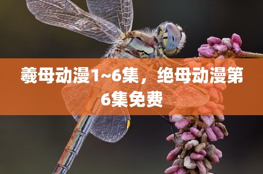 羲母动漫1~6集，绝母动漫第6集免费