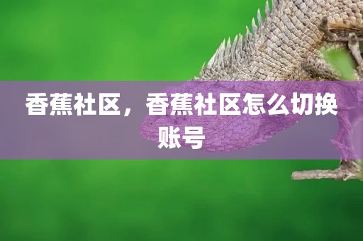 香蕉社区，香蕉社区怎么切换账号