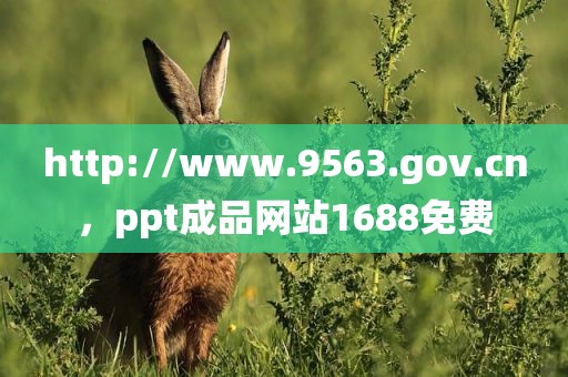 http://www.9563.gov.cn，ppt成品网站1688免费