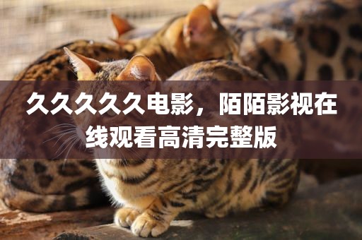 久久久久久电影，陌陌影视在线观看高清完整版