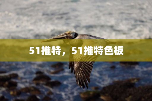 51推特，51推特色板