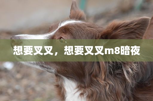 想要叉叉，想要叉叉m8暗夜