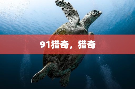 91猎奇，猎奇