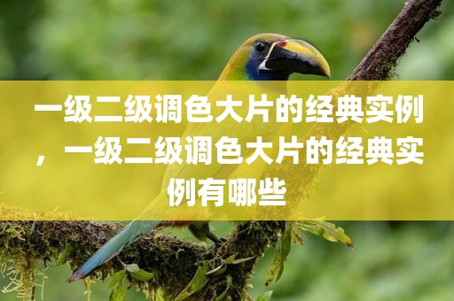 一级二级调色大片的经典实例，一级二级调色大片的经典实例有哪些