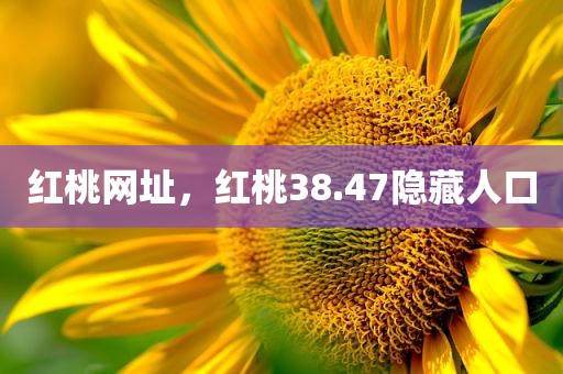 红桃网址，红桃38.47隐藏人口