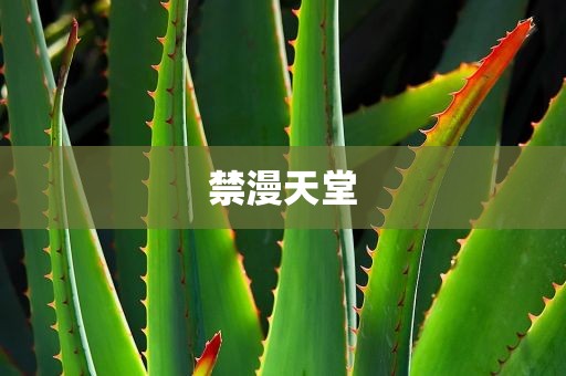 禁漫天堂