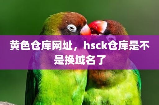黄色仓库网址，hsck仓库是不是换域名了