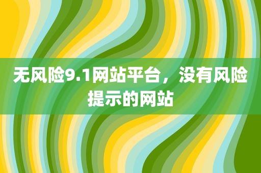 无风险9.1网站平台，没有风险提示的网站