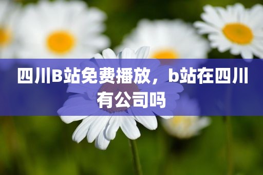 四川B站免费播放，b站在四川有公司吗