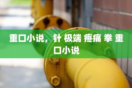 重口小说，针 极端 疼痛 拳 重口小说