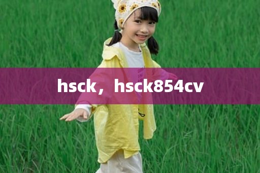 hsck，hsck854cv