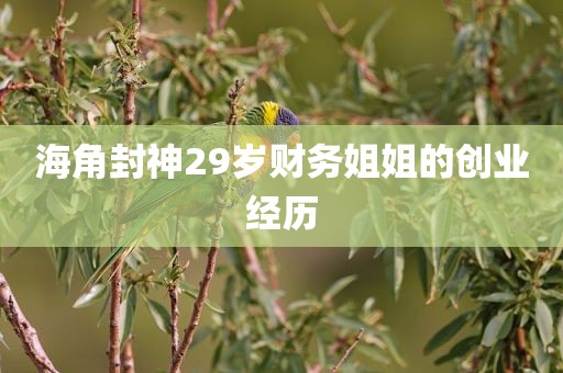 海角封神29岁财务姐姐的创业经历