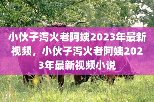 小伙子泻火老阿姨2023年最新视频，小伙子泻火老阿姨2023年最新视频小说