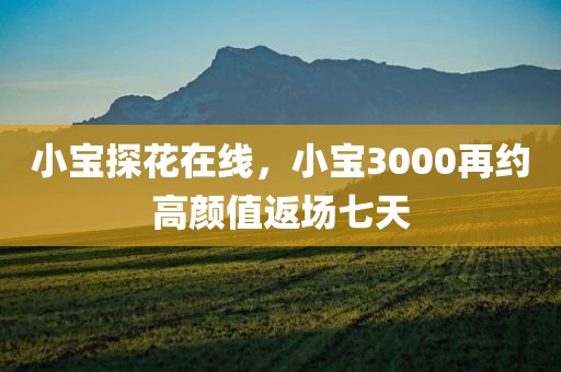 小宝探花在线，小宝3000再约高颜值返场七天