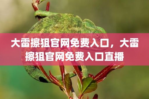 大雷擦狙官网免费入口，大雷擦狙官网免费入口直播