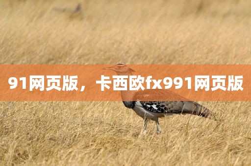 91网页版，卡西欧fx991网页版