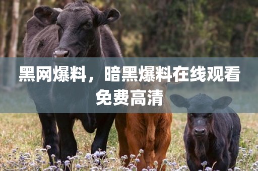 黑网爆料，暗黑爆料在线观看免费高清