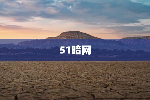 51暗网