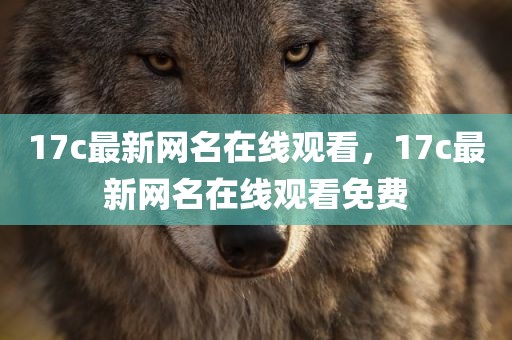 17c最新网名在线观看，17c最新网名在线观看免费
