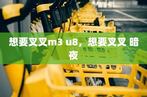 想要叉叉m3 u8，想要叉叉 暗夜