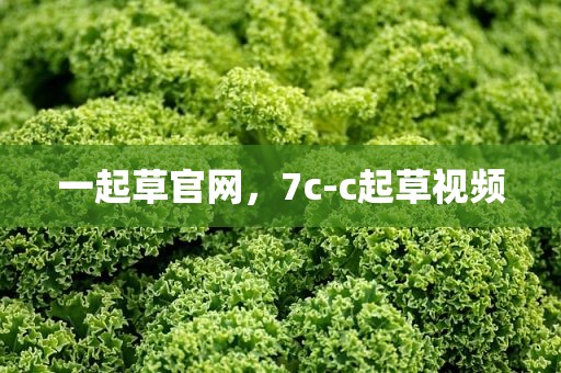 一起草官网，7c-c起草视频