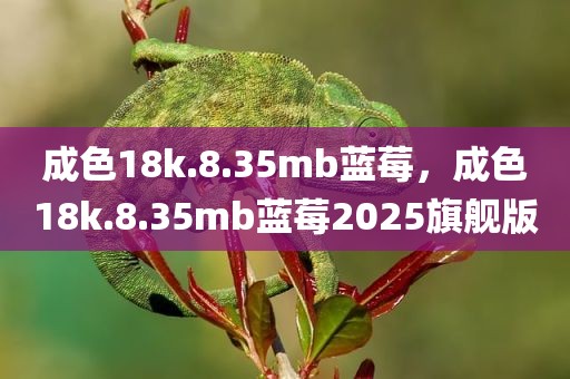 成色18k.8.35mb蓝莓，成色18k.8.35mb蓝莓2025旗舰版