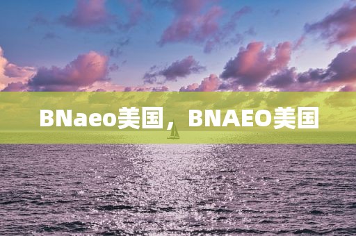 BNaeo美国，BNAEO美国