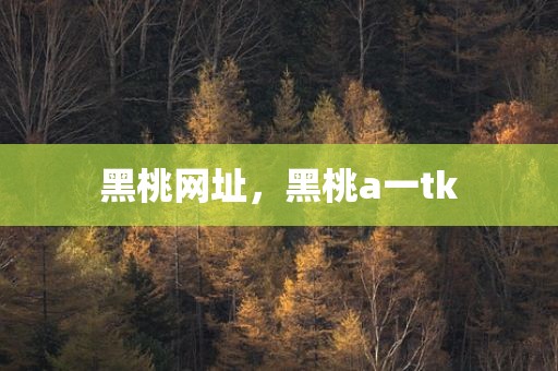 黑桃网址，黑桃a一tk