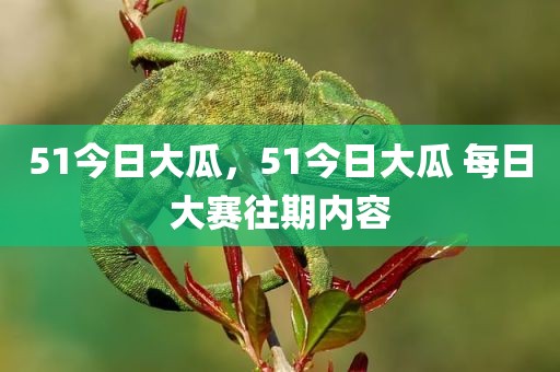 51今日大瓜，51今日大瓜 每日大赛往期内容