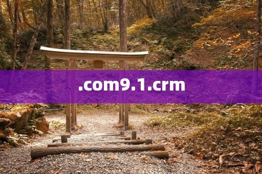 .com9.1.crm