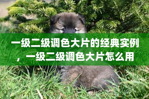 一级二级调色大片的经典实例，一级二级调色大片怎么用