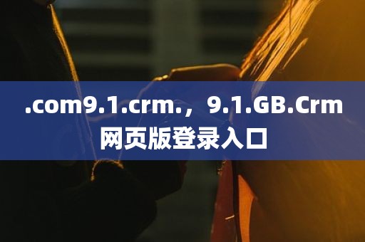 .com9.1.crm.，9.1.GB.Crm网页版登录入口