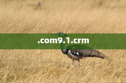 .com9.1.crm