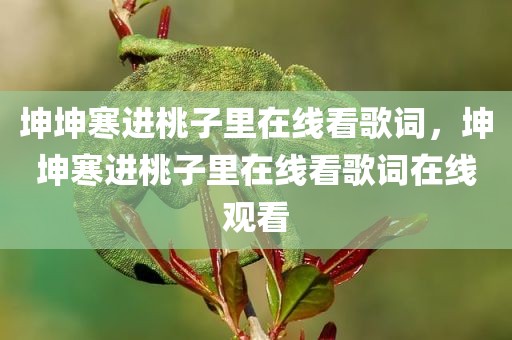 坤坤寒进桃子里在线看歌词，坤坤寒进桃子里在线看歌词在线观看