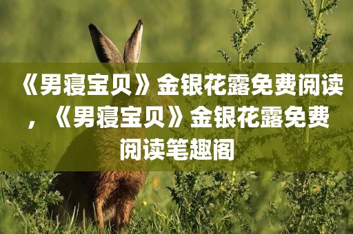 《男寝宝贝》金银花露免费阅读，《男寝宝贝》金银花露免费阅读笔趣阁
