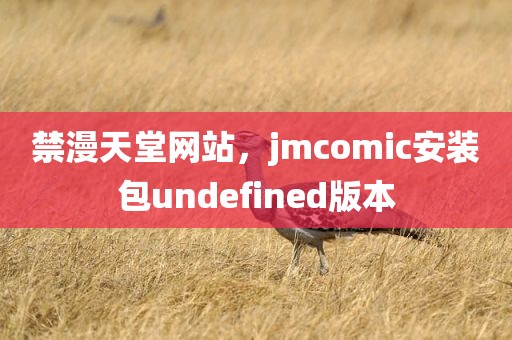 禁漫天堂网站，jmcomic安装包undefined版本