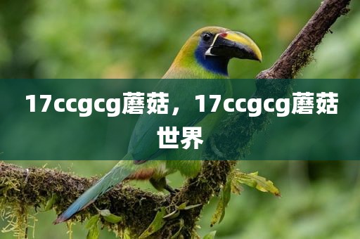 17ccgcg蘑菇，17ccgcg蘑菇世界