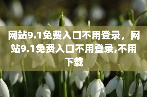 网站9.1免费入口不用登录，网站9.1免费入口不用登录,不用下载