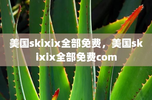 美国skixix全部免费，美国skixix全部免费com