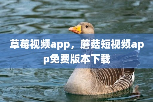 草莓视频app，蘑菇短视频app免费版本下载