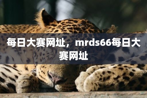 每日大赛网址，mrds66每日大赛网址