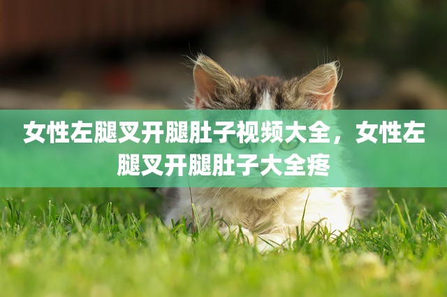 女性左腿叉开腿肚子视频大全，女性左腿叉开腿肚子大全疼