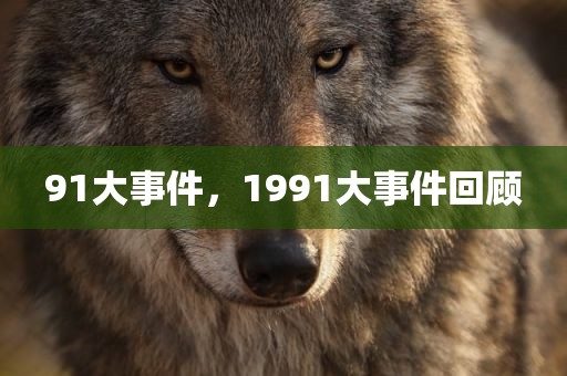 91大事件，1991大事件回顾