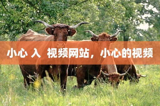 小心 入  视频网站，小心的视频