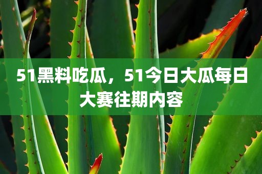 51黑料吃瓜，51今日大瓜每日大赛往期内容