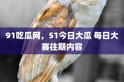 91吃瓜网，51今日大瓜 每日大赛往期内容