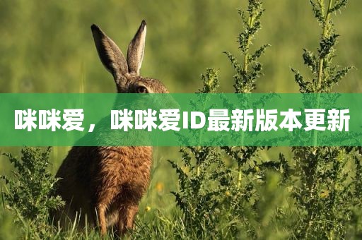 咪咪爱，咪咪爱ID最新版本更新