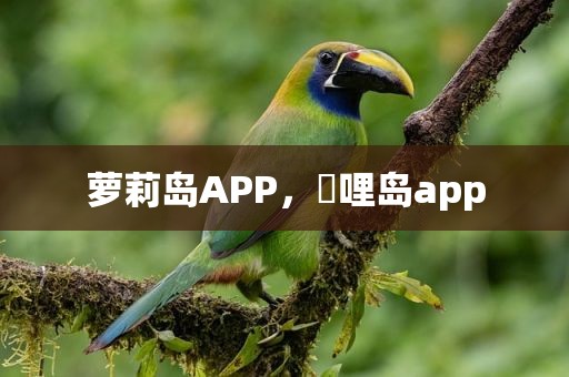 萝莉岛APP，啰哩岛app