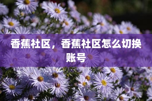 香蕉社区，香蕉社区怎么切换账号