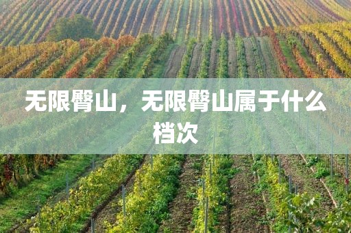 无限臀山，无限臀山属于什么档次